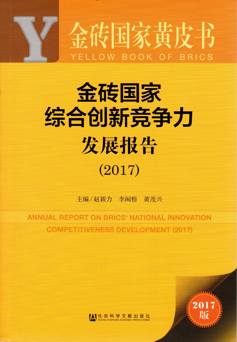 大鸡吧把美女操的啊啊啊叫金砖国家综合创新竞争力发展报告（2017）